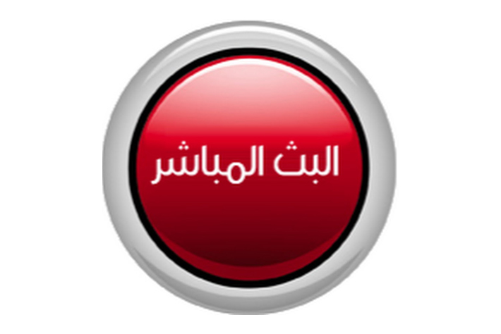 بث مباشر لفاعليات حفل ختام مهرجان 800 سنة منصورة
