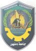 11_damanhour