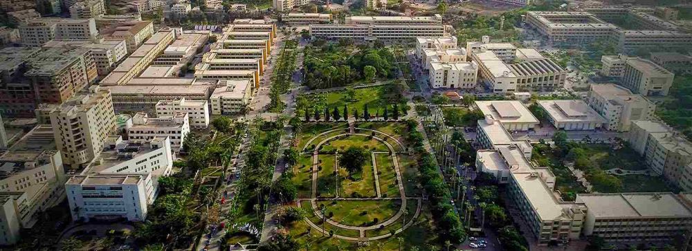 جامعة المنصورة