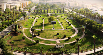  Contact Mansoura University