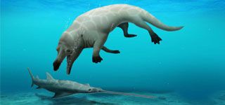 A 43 Million-Year-Old Fossil of Amphibious Whale was discovered, in Cooperation between the Ministry of Higher Education and the Ministry of Environment