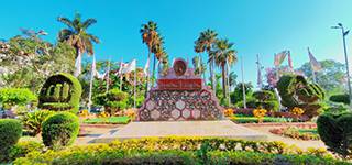 فوز جامعة المنصورة بالمركز الأول فى مسابقة 